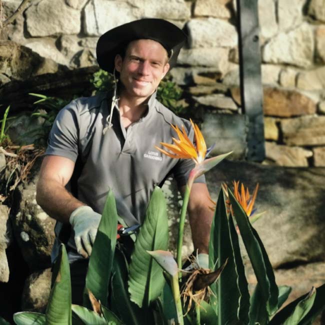 Lotus-Gardening-in-sydney-Tom