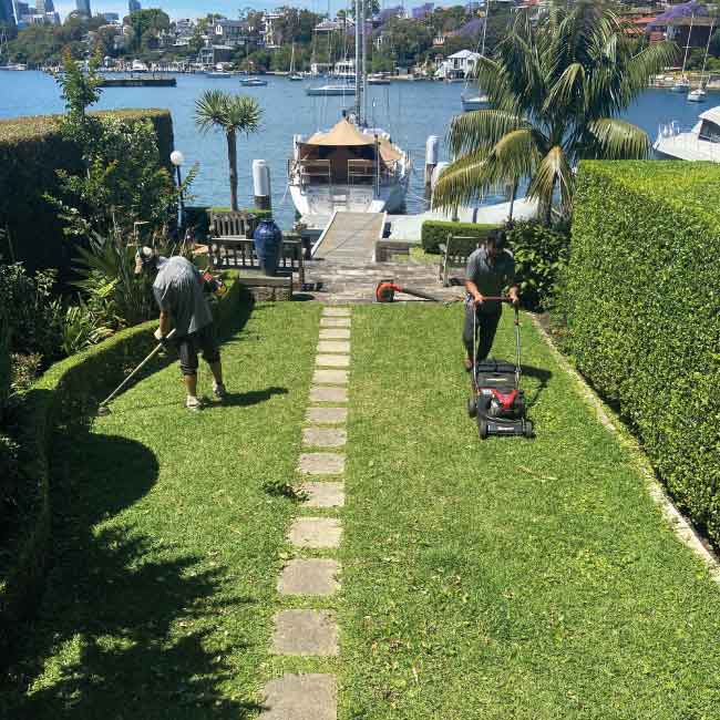 professional-lawn-care professional-lawn-care